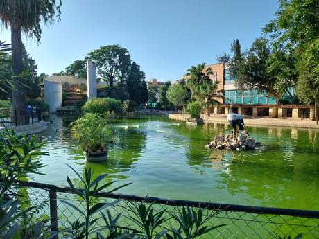 Pasendo Por Los Jardines De Viveros (Valencia)