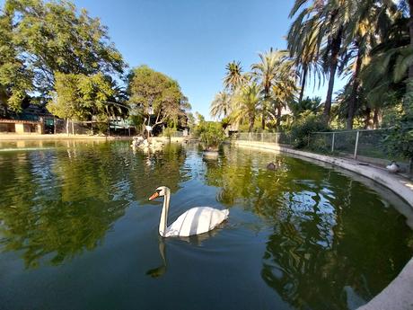 Pasendo Por Los Jardines De Viveros (Valencia)