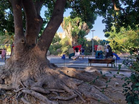 Pasendo Por Los Jardines De Viveros (Valencia)