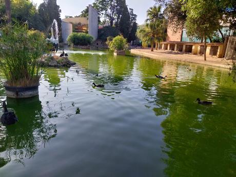 Pasendo Por Los Jardines De Viveros (Valencia)