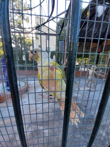 Pasendo Por Los Jardines De Viveros (Valencia)