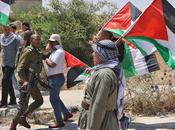 ¿Qué saben hacer ocupantes?