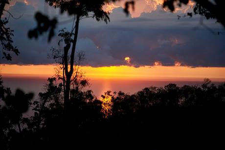 Islas Marías: De prisión a hogar de un Medio Maratón único en su tipo FDVN23_SCOUT_AGUAMILPA 4