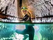 Nuevo número GOTA abierto