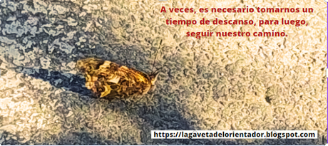 Nuestra primera postal para colección 