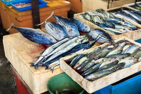 25 mejores cosas que hacer en Jimbaran (Bali) 25 mejores cosas que hacer en Jimbaran (Bali)