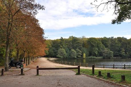 15 mejores cosas que hacer en Rueil-Malmaison (Francia)