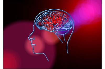 Nueva herramienta identifica el riesgo de sufrir fibrilación auricular Nueva herramienta identifica el riesgo de sufrir fibrilación auricular