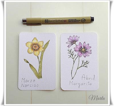 NUEVAS ACUARELAS NUEVAS ACUARELAS