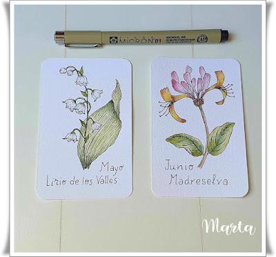 NUEVAS ACUARELAS NUEVAS ACUARELAS