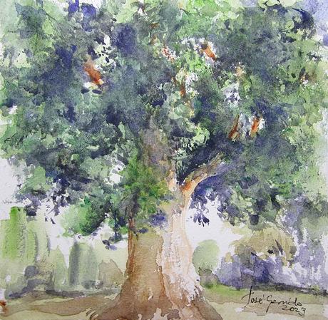 Acuarelas agosto 2023 Acuarelas agosto 2023