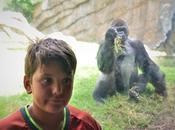 Descubre Bioparc Valencia: Centro Naturaleza Diferente para Familia