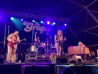 Rick Estrin & The NightCats - 04/08/2023 - La Grapa