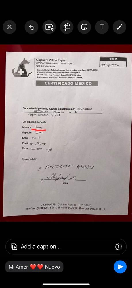 Denuncian sacrificio indebido de mascota por vecinas, se hicieron pasar por las dueñas