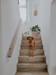 Mini proyecto: Pintar la baranda pasamanos de la escalera