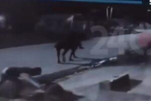 Cabachorros: delincuentes a caballo le roban a un hombre la billetera y el celular