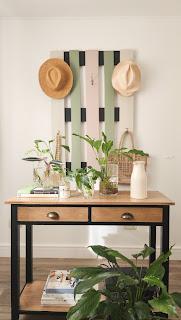 Cómo multiplicar Spathiphyllum y hacer Hidroterrarios