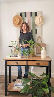 Cómo multiplicar Spathiphyllum y hacer Hidroterrarios