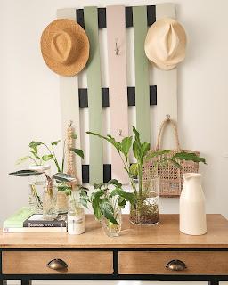 Cómo multiplicar Spathiphyllum y hacer Hidroterrarios