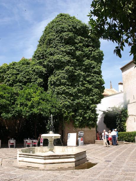 La Plaza de la Alianza (1): una breve historia.