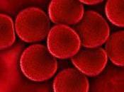 terapia genética para tratar Talasemia Beta