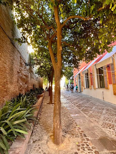 La Plaza de la Alianza (2): sus tres accesos.