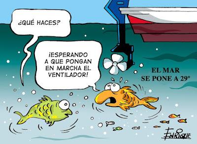 Las mujeres que cambiaron el fútbol… Y el beso de Rubiales que impidió celebrar el Mundial. Las mujeres que cambiaron el fútbol… Y el beso de Rubiales que impidió celebrar el Mundial.