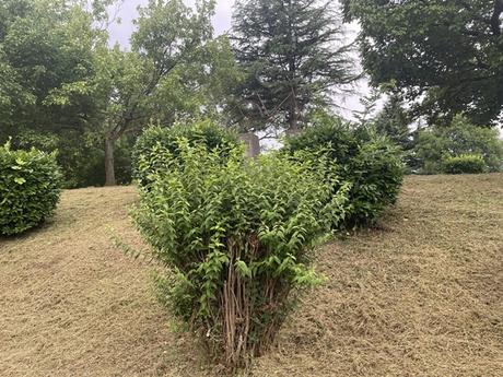 Portu-La Arena (Muskitz)