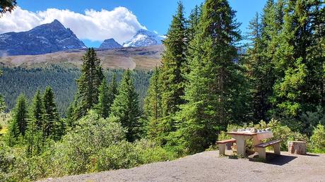 9 mejores campings en el Parque Nacional Banff, AB Vista desde el campamento en Wilcox Campground