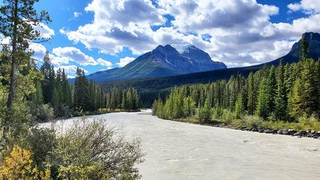 9 mejores campings en el Parque Nacional Banff, AB Bow River en Lake Louise Camping