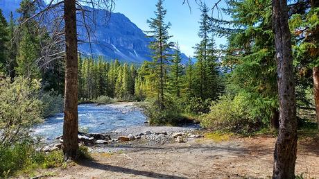 9 mejores campings en el Parque Nacional Banff, AB Río en Mosquito Campground