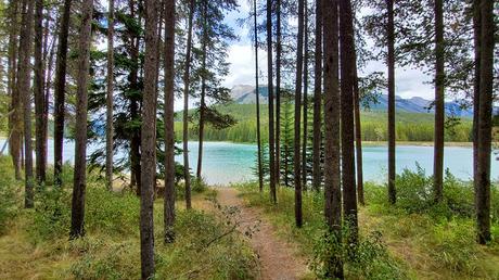 9 mejores campings en el Parque Nacional Banff, AB Two Jack Lake Campground (junto al lago)
