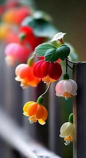 5.591 - ME HABLAN TUS OJOS... 5.591 - ME HABLAN TUS OJOS...