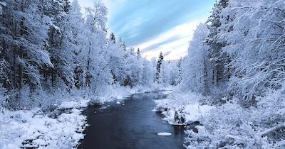 Controlaré tus sueños (John Verdon)