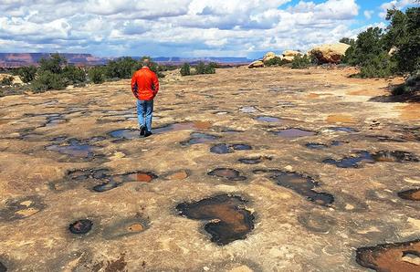 Baches después de la lluvia en Canyonlands, Needles Division