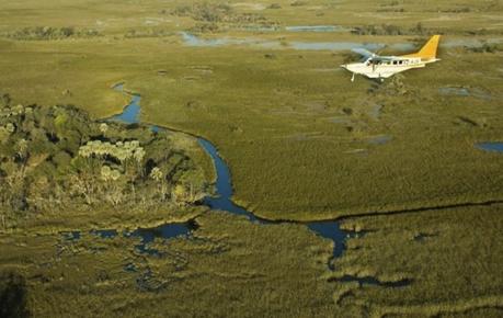 Safari en avioneta en Botswana