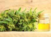 Descubre Productos Vendidos.