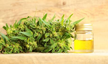 Descubre los Productos CBD Más Vendidos. 6