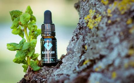 Descubre los Productos CBD Más Vendidos. 4