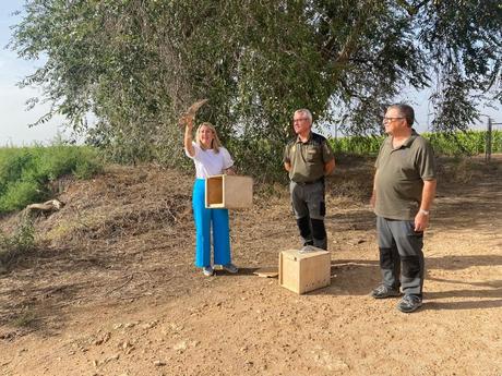 Talavera suministrará agua potable a los municipios aledaños afectados por la DANA