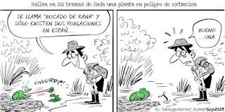 De Oppenheimer y Japón