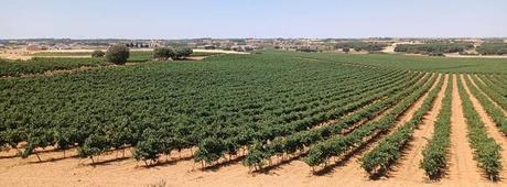 Importantes figuras mundiales en el ámbito de la farmacología y la nanomedicina, de congreso en Toledo