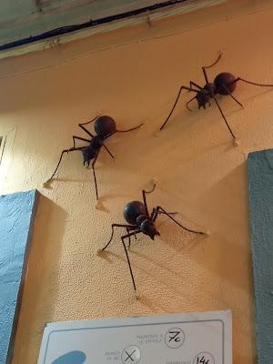 Por las calles de Zaragoza