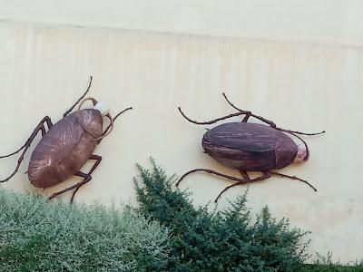 Por las calles de Zaragoza