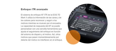 Canon EOS 7D Mark II: La joya de la corona en fotografía 17