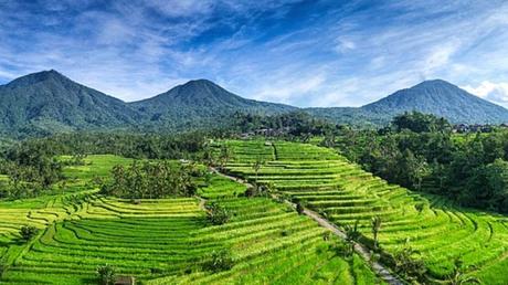 Qué ver y hacer en Kintamani