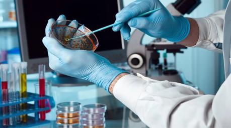 Barcelona: referente en el sector de la biotecnología internacional Barcelona: referente en el sector de la biotecnología internacional