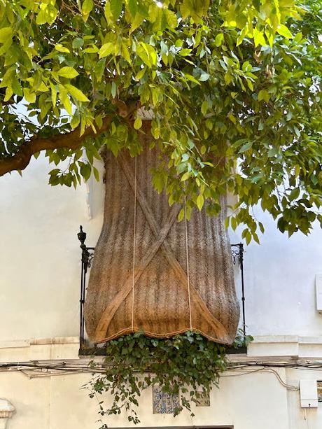 La Plaza de la Alianza (7): la barreduela del Pozo Seco.