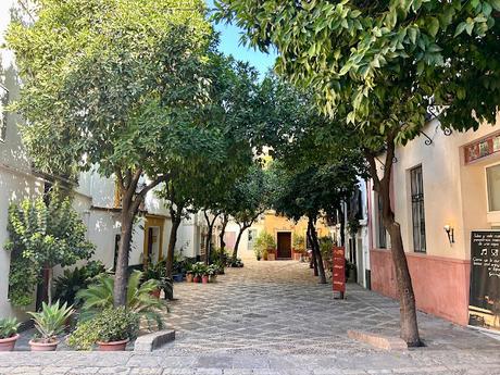 La Plaza de la Alianza (7): la barreduela del Pozo Seco.