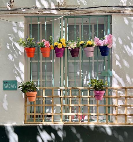 La Plaza de la Alianza (7): la barreduela del Pozo Seco.